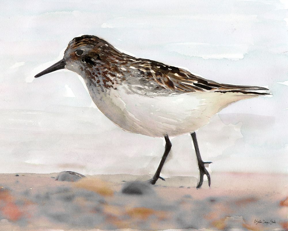 Sandpiper 2 art print by Stellar Design Studio for $57.95 CAD