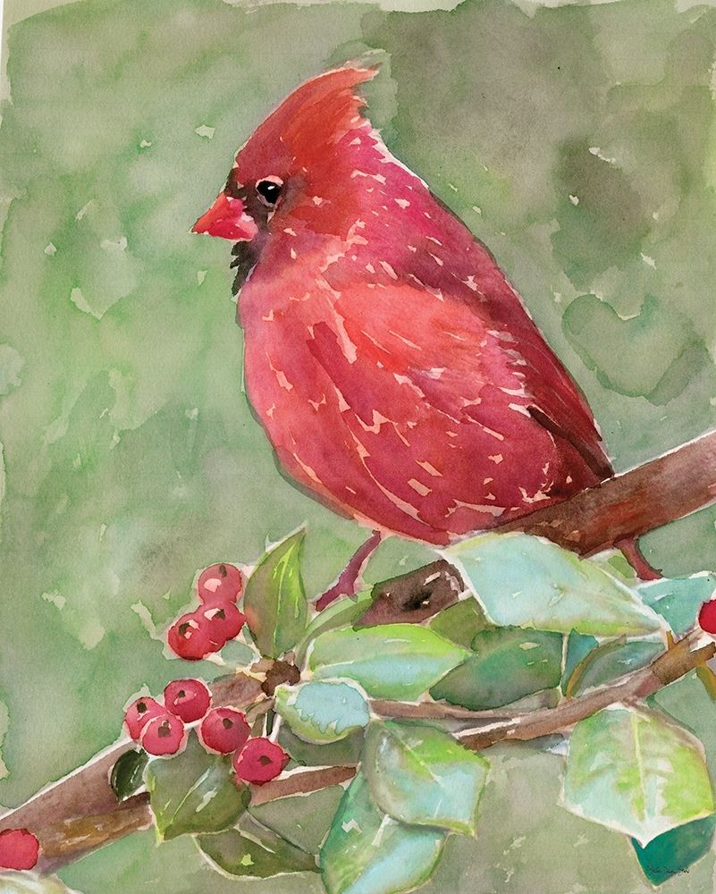 Cardinal 2 art print by Stellar Design Studio for $57.95 CAD