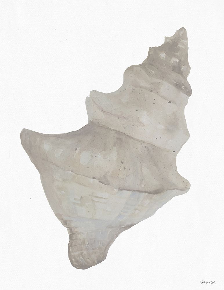 Neutral Shell 1 art print by Stellar Design Studio for $57.95 CAD