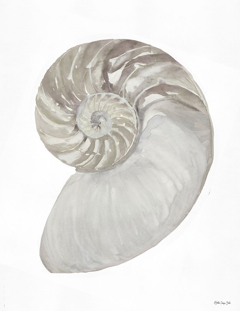 Neutral Shell 2 art print by Stellar Design Studio for $57.95 CAD