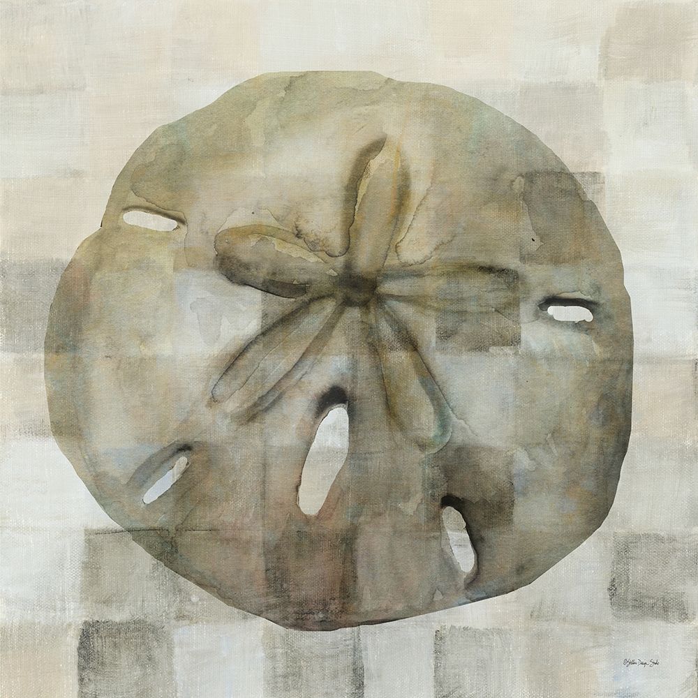 Sand Dollar art print by Stellar Design Studio for $57.95 CAD