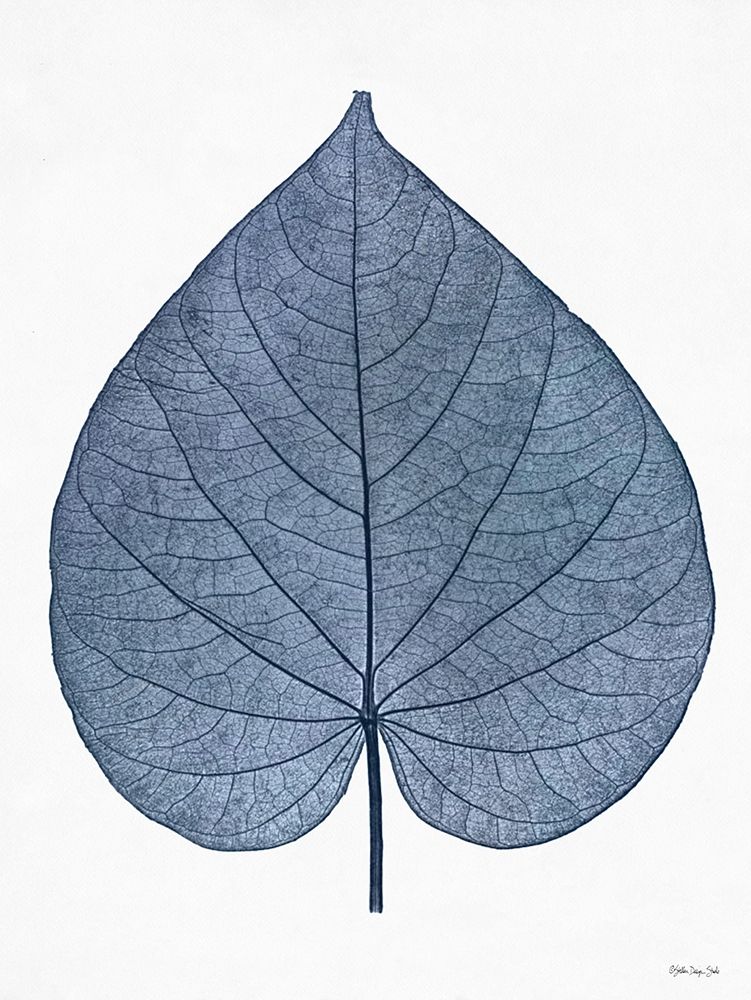 Indigo Nature Study I art print by Stellar Design Studio for $57.95 CAD