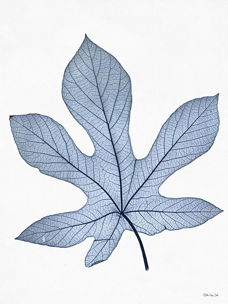 Indigo Nature Study III art print by Stellar Design Studio for $57.95 CAD