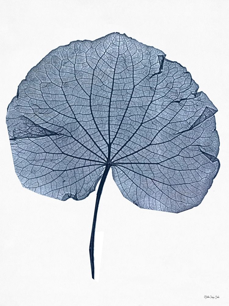Indigo Nature Study IV art print by Stellar Design Studio for $57.95 CAD
