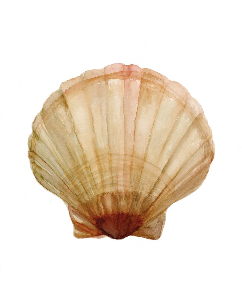 Neutral Shell Collection 2 art print by Stellar Design Studio for $57.95 CAD