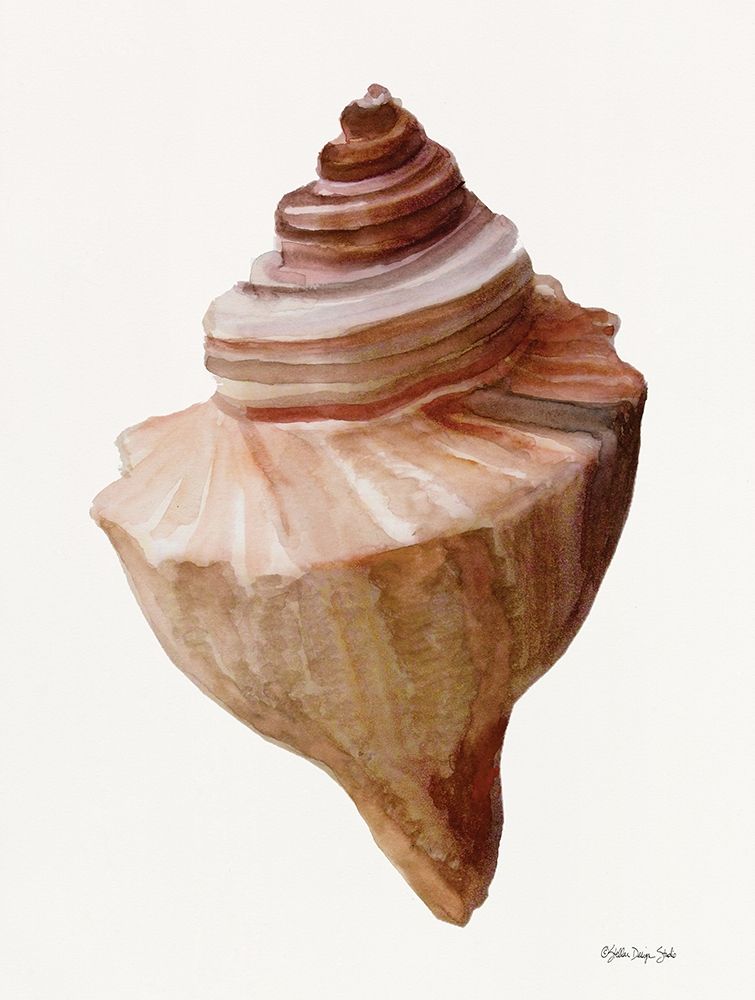 Neutral Shell Collection 4 art print by Stellar Design Studio for $57.95 CAD