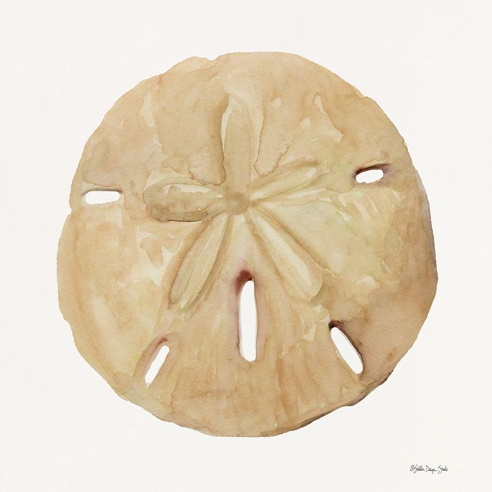 Neutral Shell Collection 5 art print by Stellar Design Studio for $57.95 CAD