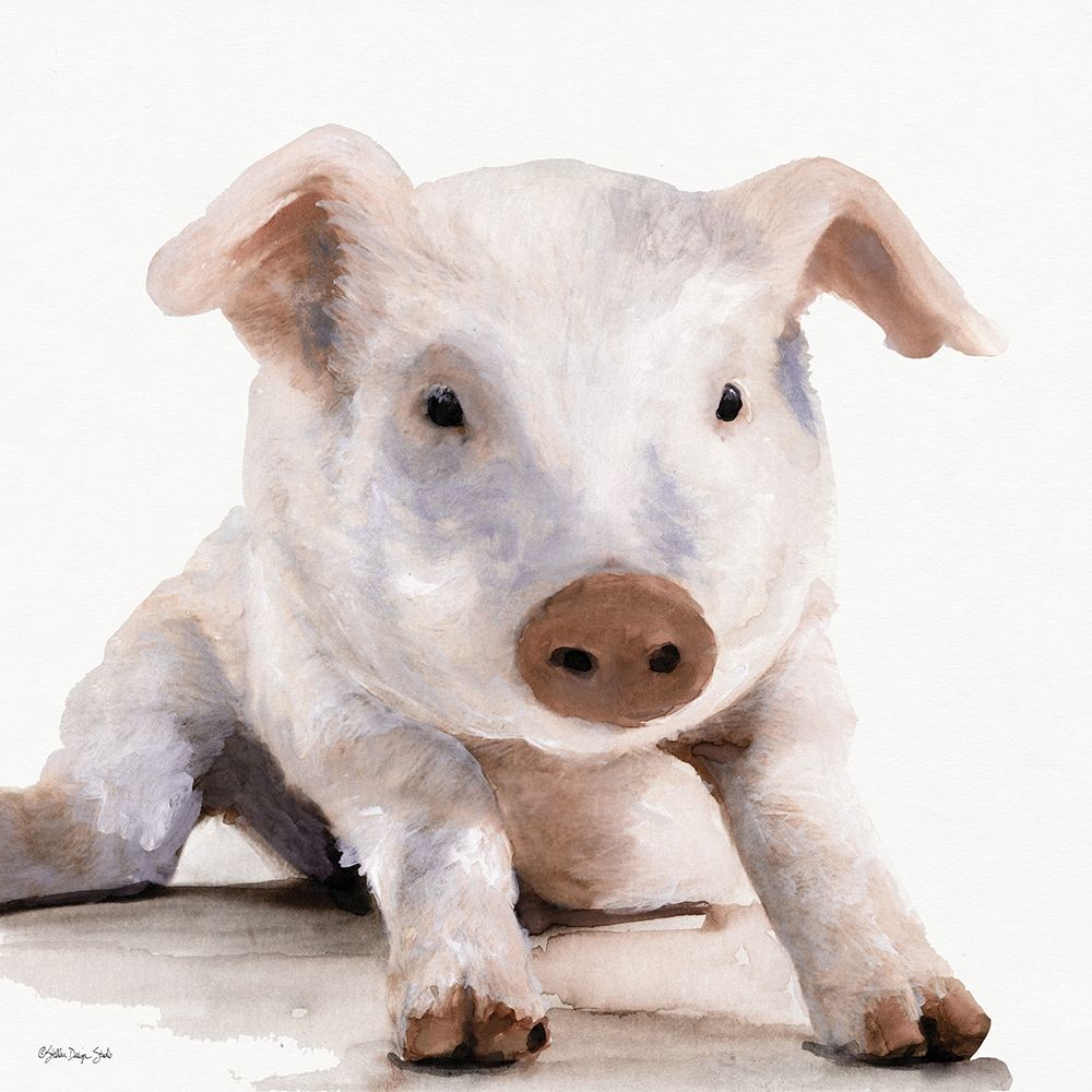 Biscuit art print by Stellar Design Studio for $57.95 CAD