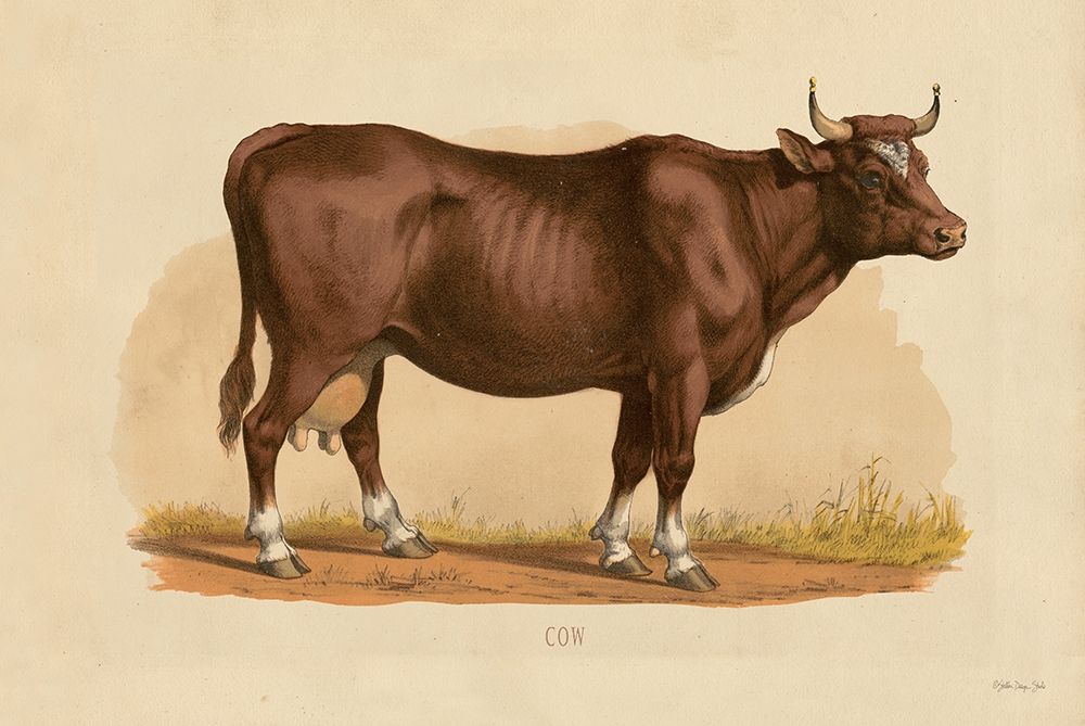 Cow art print by Stellar Designs Studio for $57.95 CAD