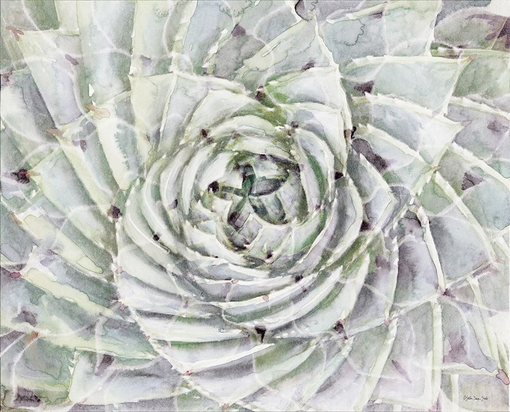 Succulent Macro art print by Stellar Designs Studio for $57.95 CAD