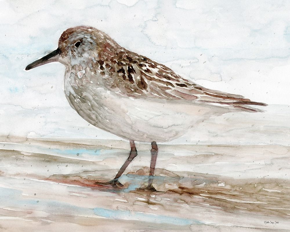 Sanibel Piper 1 art print by Stellar Design Studio for $57.95 CAD