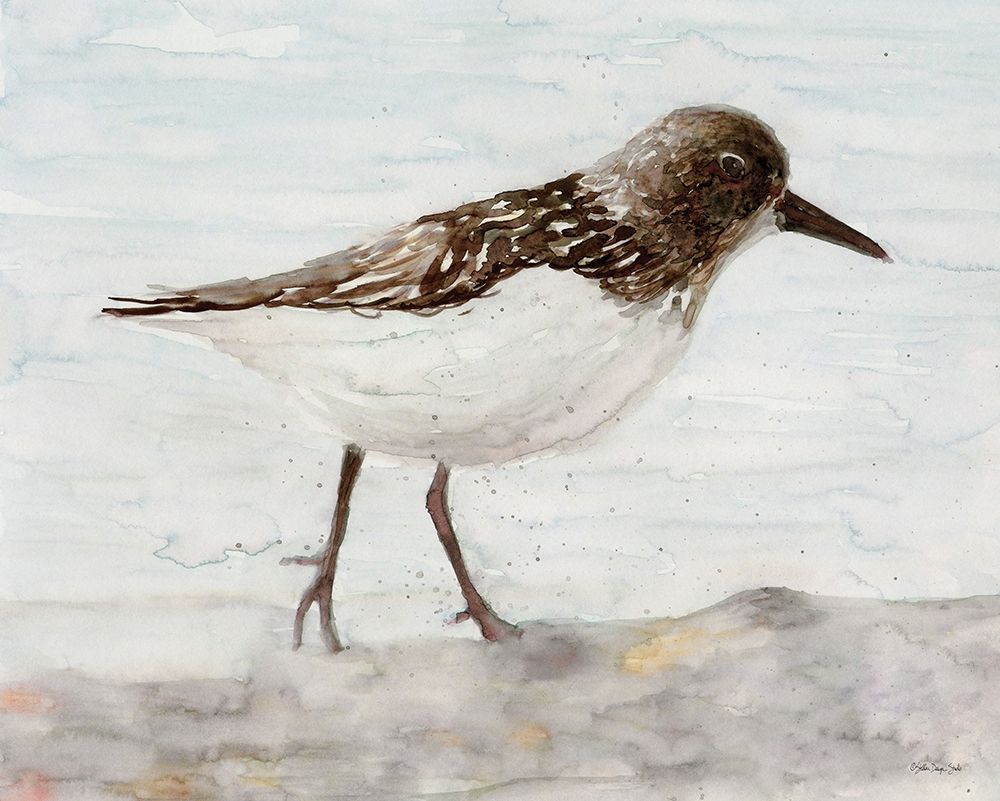 Sanibel Piper 2 art print by Stellar Design Studio for $57.95 CAD