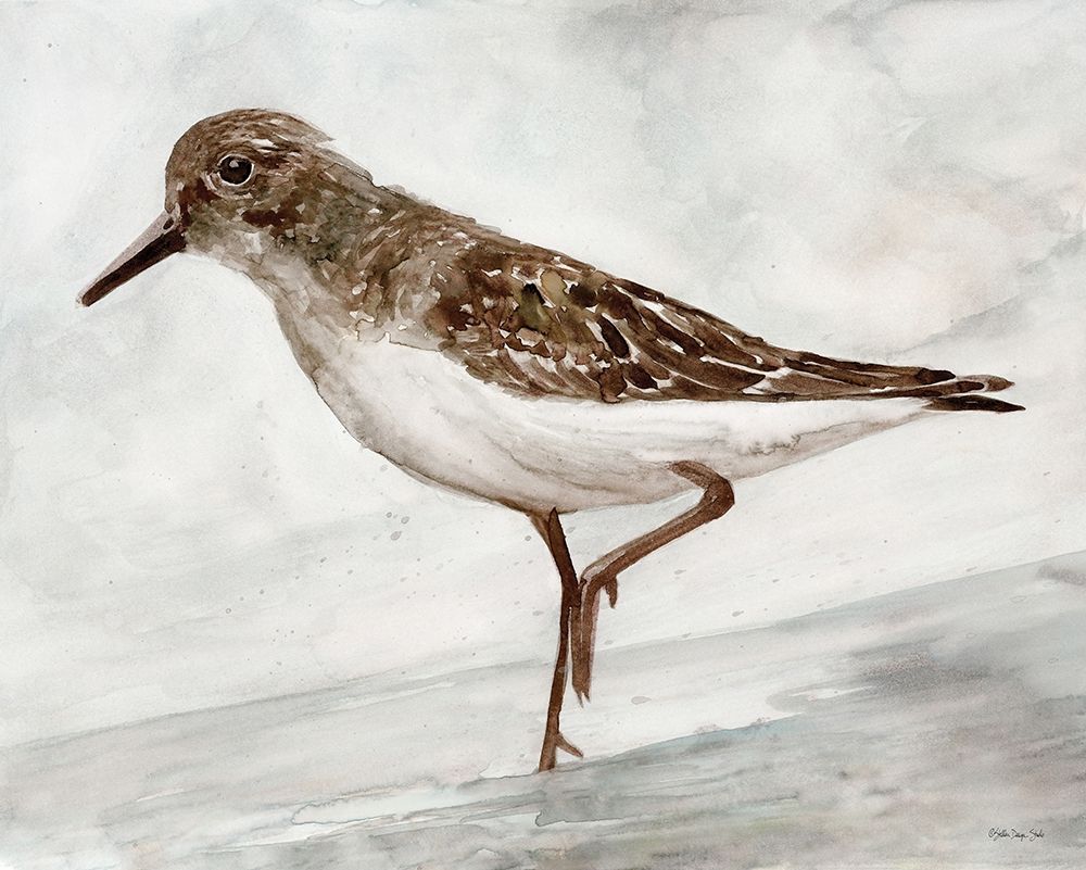 Sanibel Piper 3 art print by Stellar Design Studio for $57.95 CAD