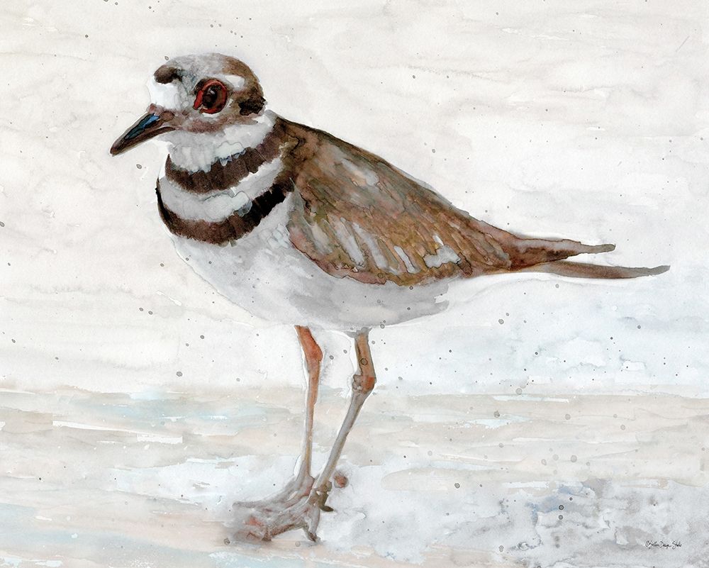 Sanibel Piper 4 art print by Stellar Design Studio for $57.95 CAD