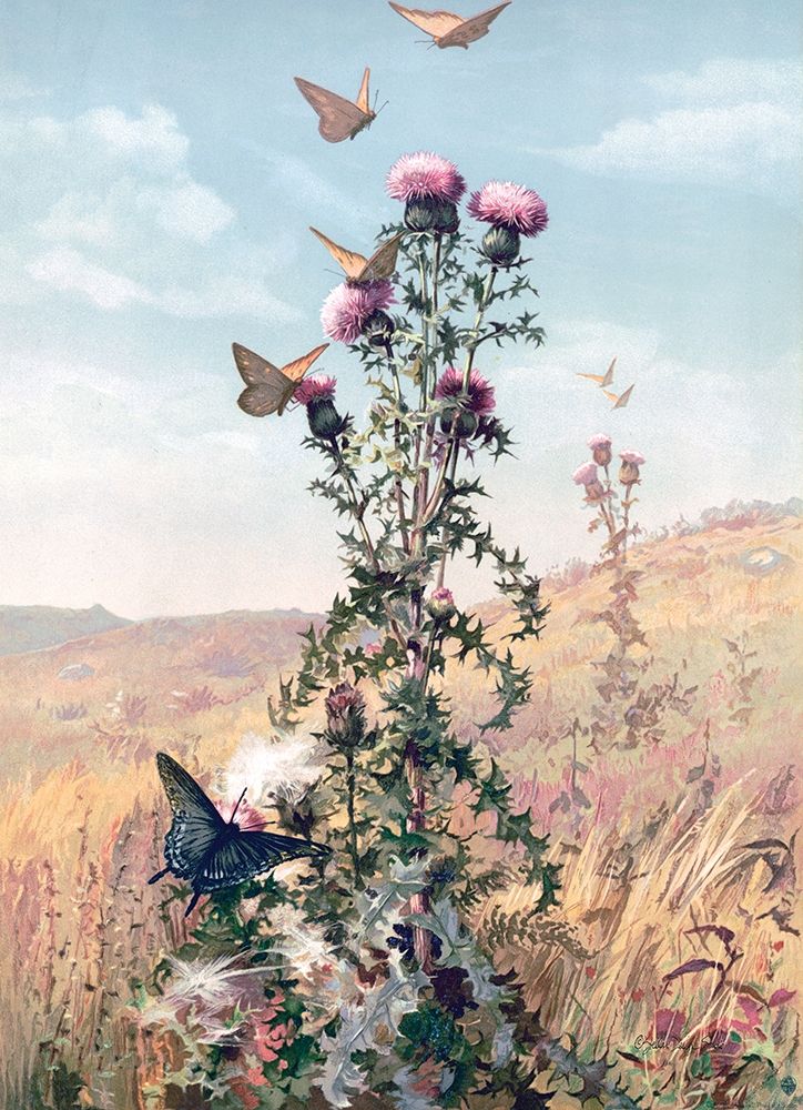 Meadow Butterflies art print by Stellar Design Studio for $57.95 CAD