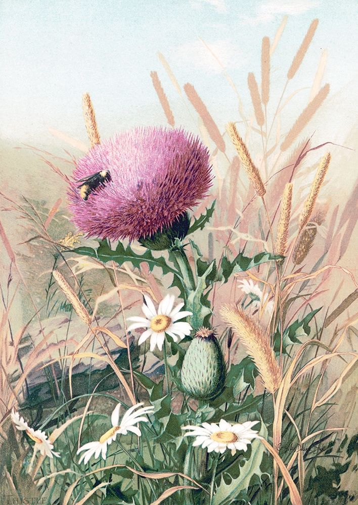 Meadow Flowers 1 art print by Stellar Design Studio for $57.95 CAD