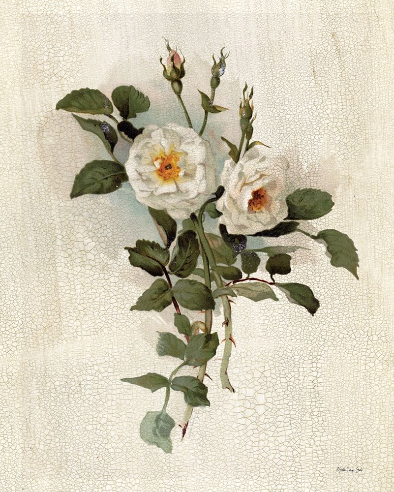 White Roses art print by Stellar Design Studio for $57.95 CAD