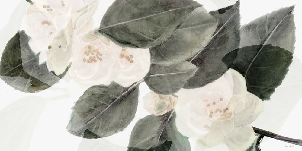 White Beauty art print by Stellar Design Studio for $57.95 CAD