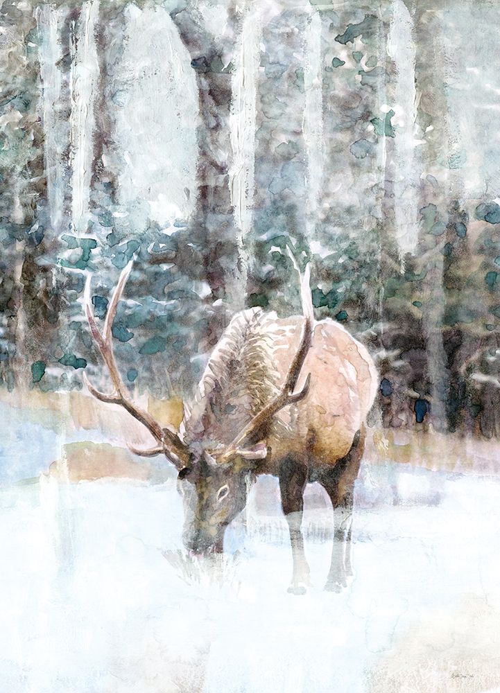 Grand Elk 1 art print by Stellar Design Studio for $57.95 CAD