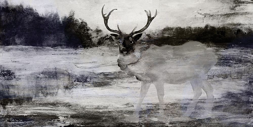 Bull in Forest 2 art print by Stellar Design Studio for $57.95 CAD