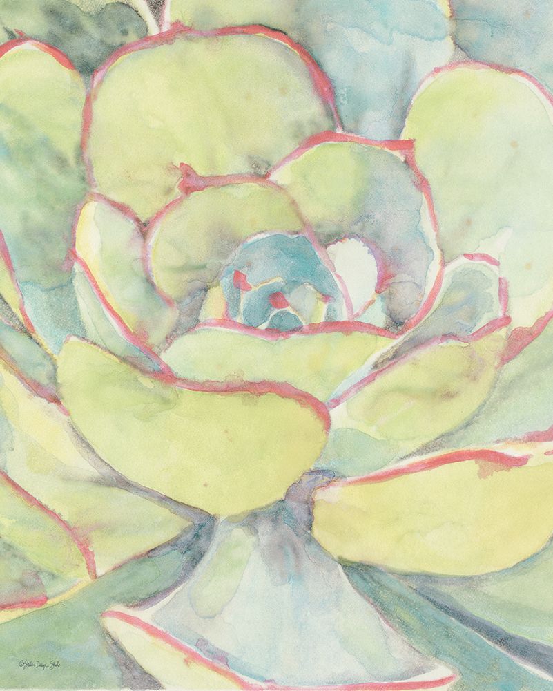 Succulent Bloom 2 art print by Stellar Design Studio for $57.95 CAD