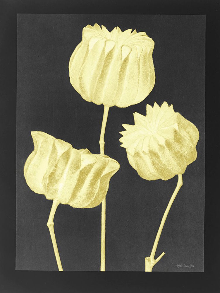 Forms in Nature 1 art print by Stellar Design Studio for $57.95 CAD