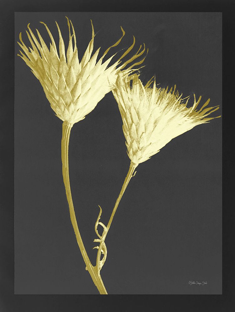 Forms in Nature 2 art print by Stellar Design Studio for $57.95 CAD