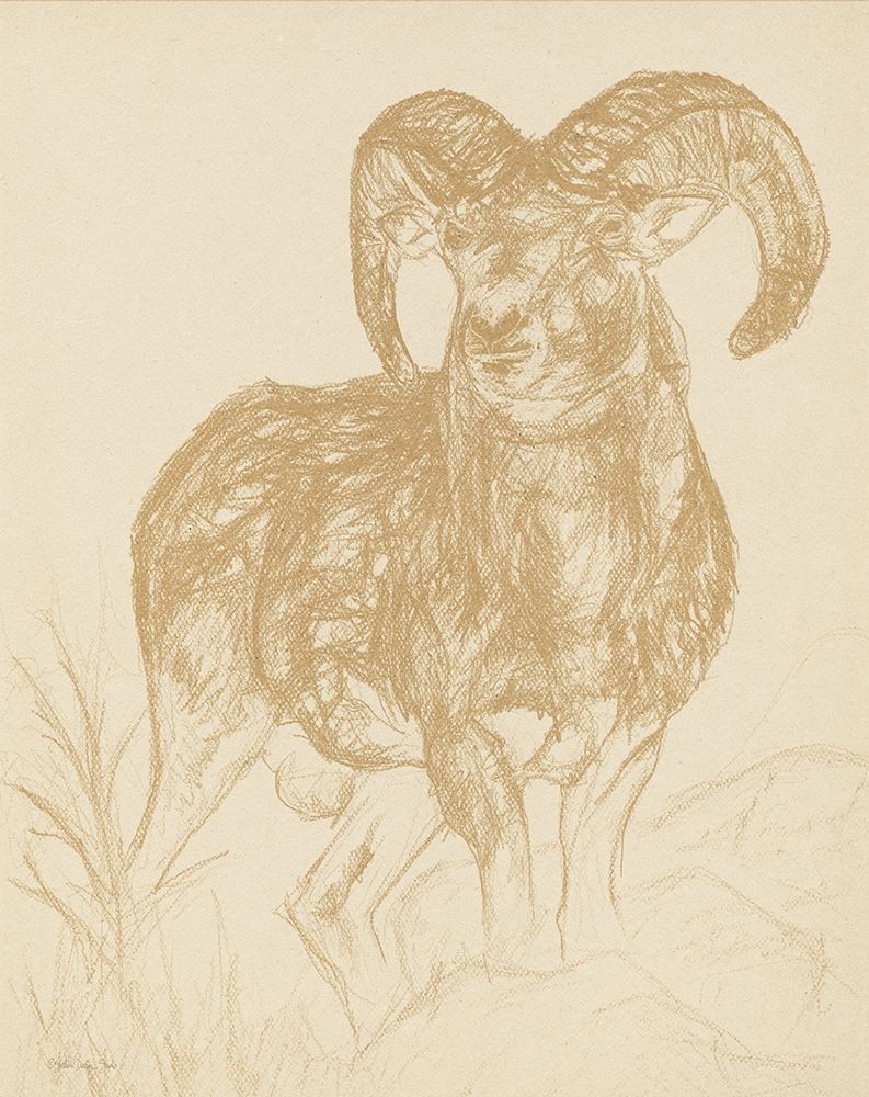 Big Horn Sketch art print by Stellar Design Studio for $57.95 CAD