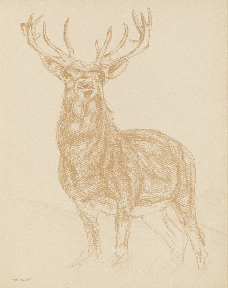 Buck Sketch art print by Stellar Design Studio for $57.95 CAD