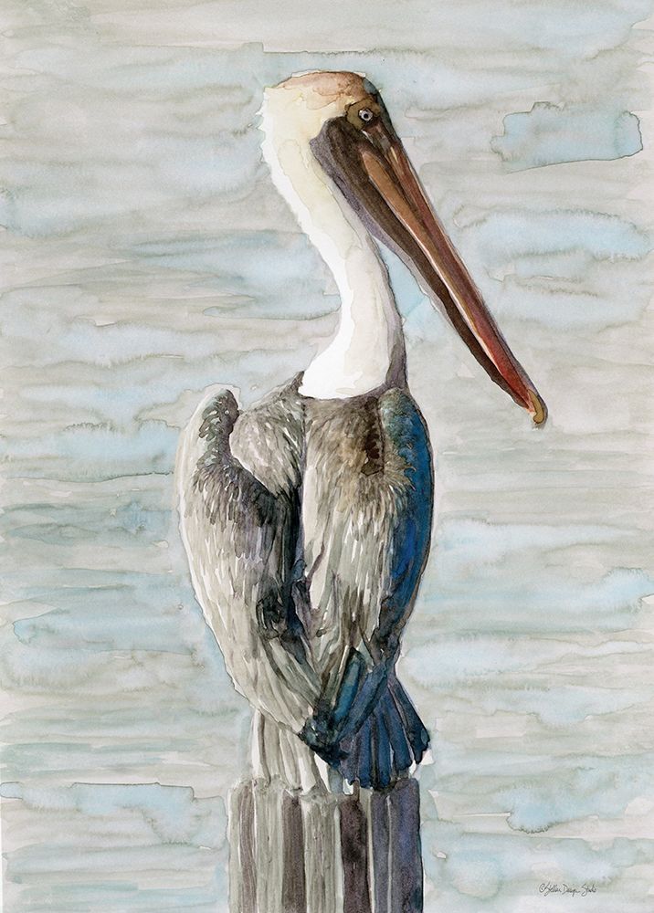 Brown Pelican 1 art print by Stellar Design Studio for $57.95 CAD