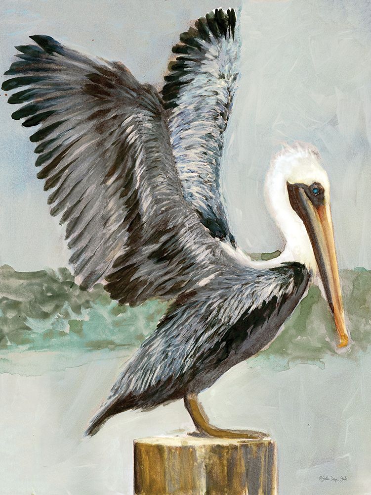 Brown Pelican 2 art print by Stellar Design Studio for $57.95 CAD