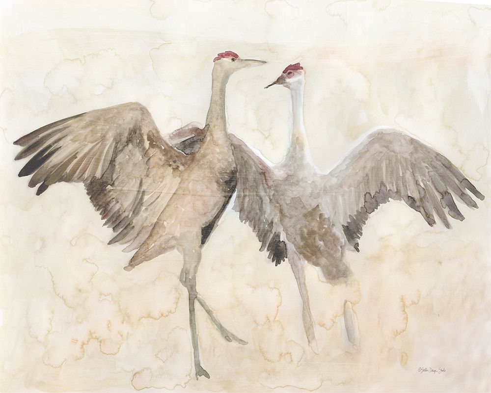 Sandhill Cranes 1 art print by Stellar Design Studio for $57.95 CAD