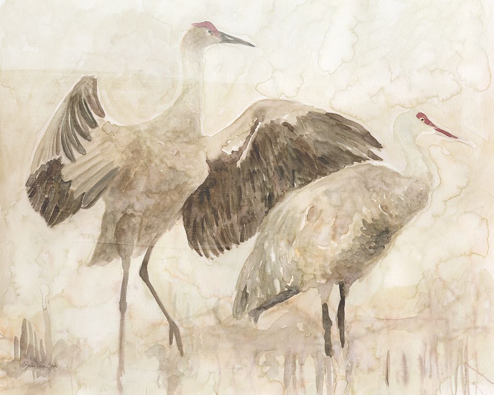 Sandhill Cranes 2 art print by Stellar Design Studio for $57.95 CAD