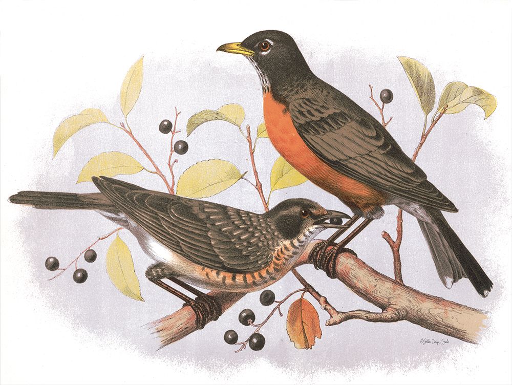 Birds and Berries art print by Stellar Design Studio for $57.95 CAD