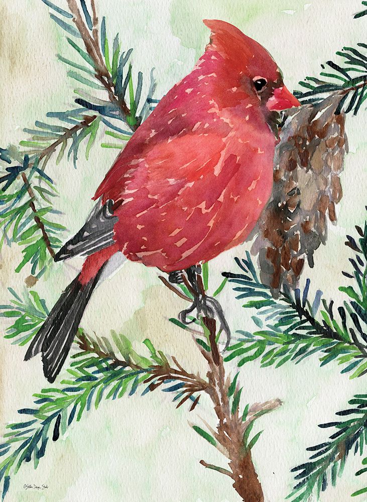 Cardinal and Branch art print by Stellar Design Studio for $57.95 CAD