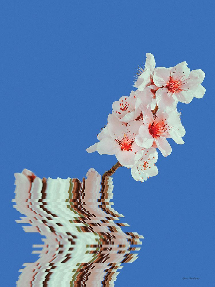 Blossoms in Balance art print by Seven Trees Design for $57.95 CAD