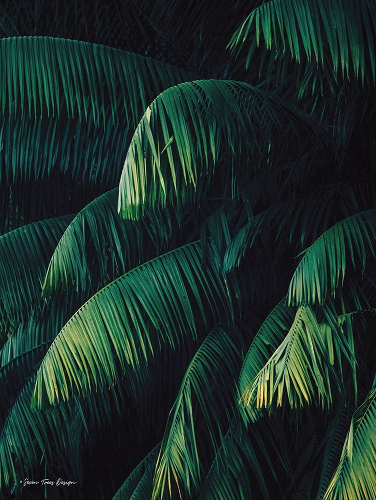 Palm Leaves art print by Seven Trees Design for $57.95 CAD