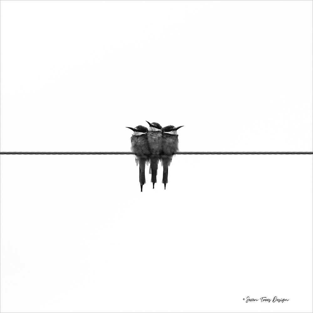 The Birds art print by Seven Trees Design for $57.95 CAD