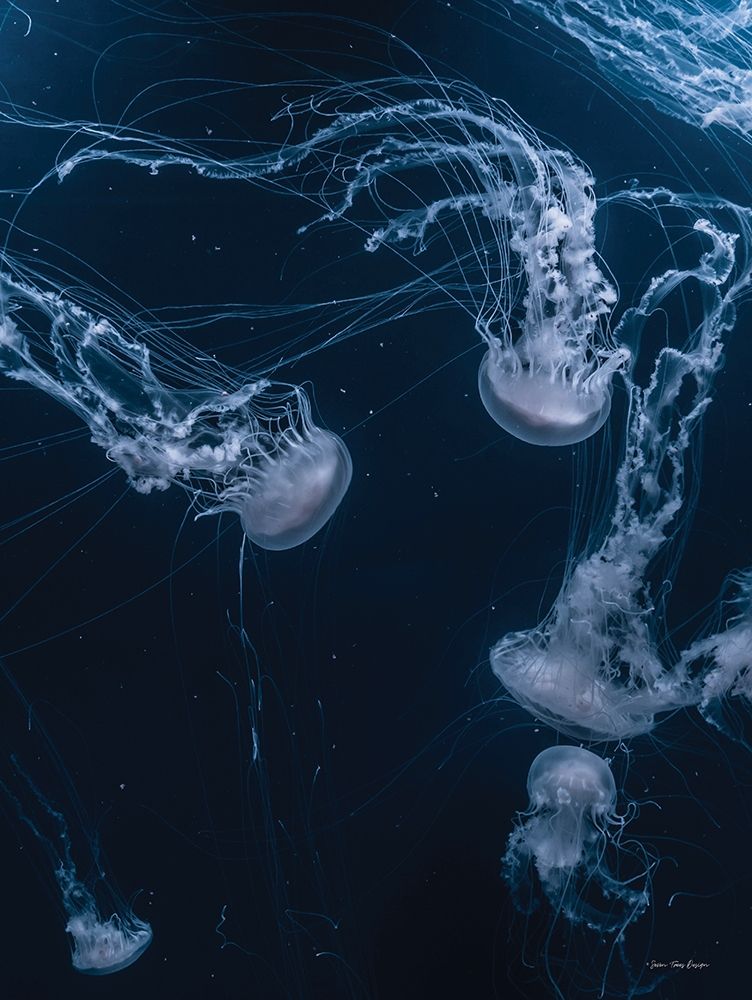 Deep Ocean art print by Seven Trees Design for $57.95 CAD