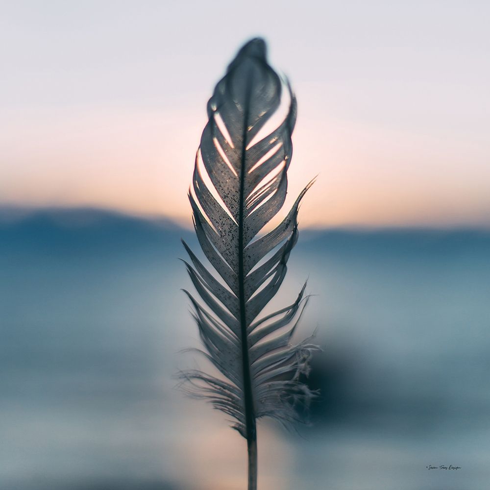 Feather Sunset art print by Stellar Design Studio for $57.95 CAD