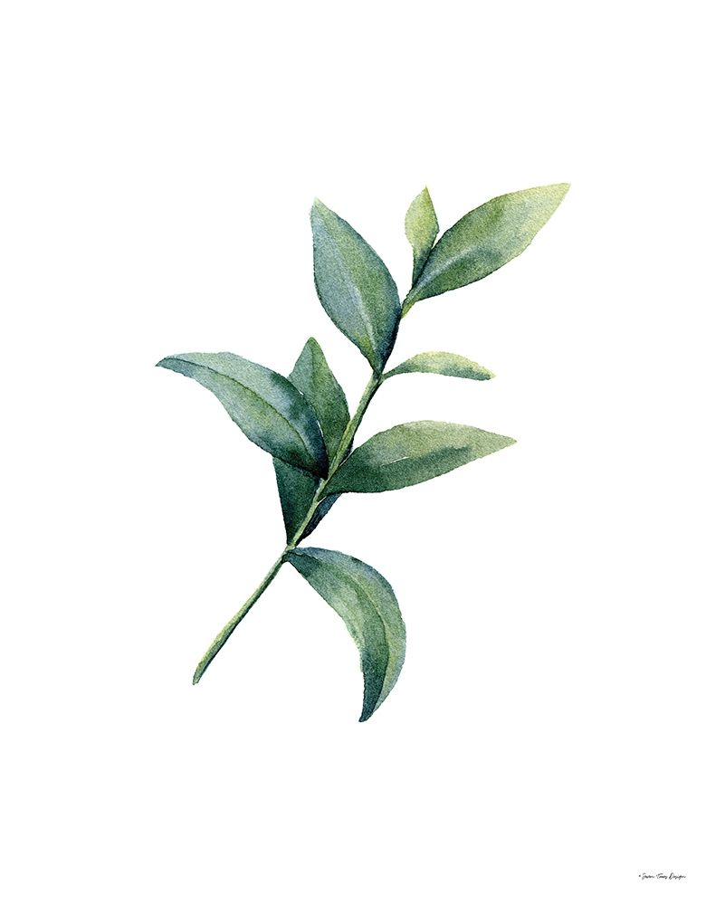 Eucalyptus III art print by Seven Trees Design for $57.95 CAD