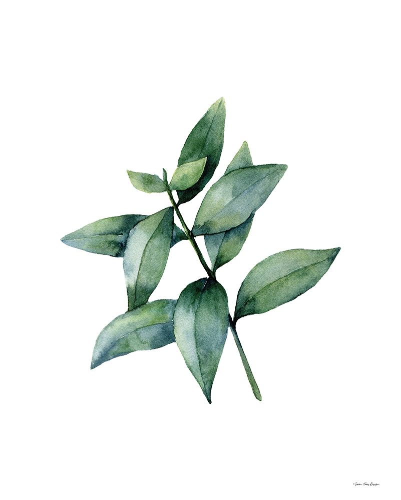 Eucalyptus IV art print by Seven Trees Design for $57.95 CAD