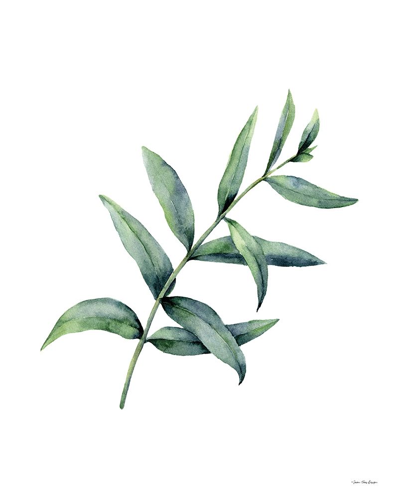 Eucalyptus V art print by Seven Trees Design for $57.95 CAD