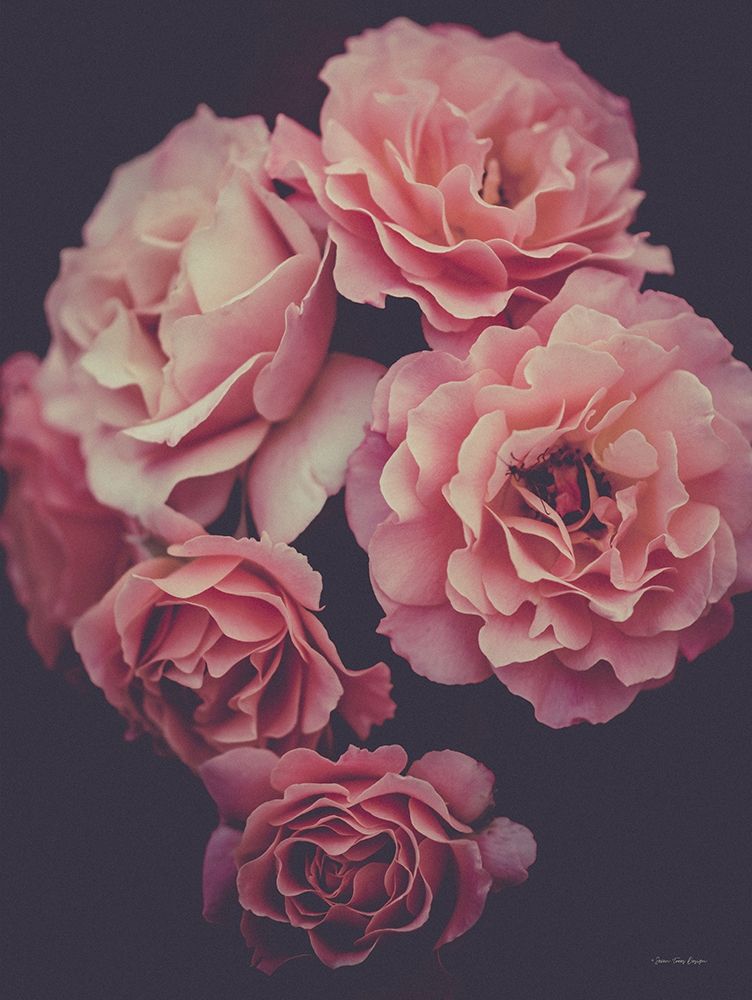Dreamy Roses art print by Seven Trees Design for $57.95 CAD