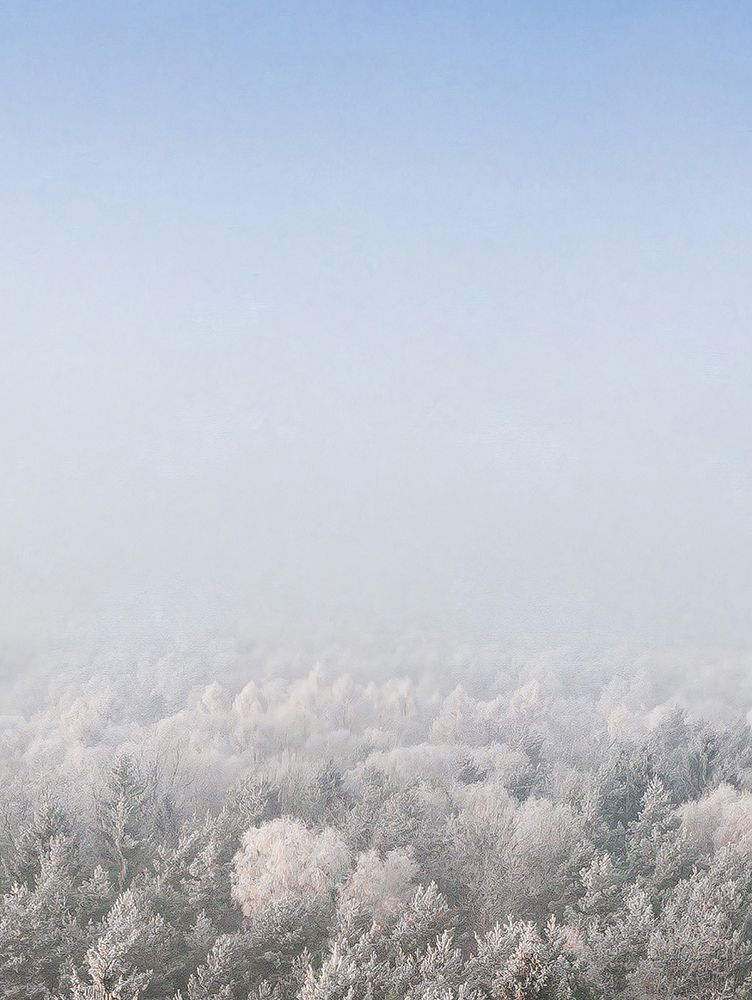 Snow Forest from the Sky art print by Seven Trees Design for $57.95 CAD