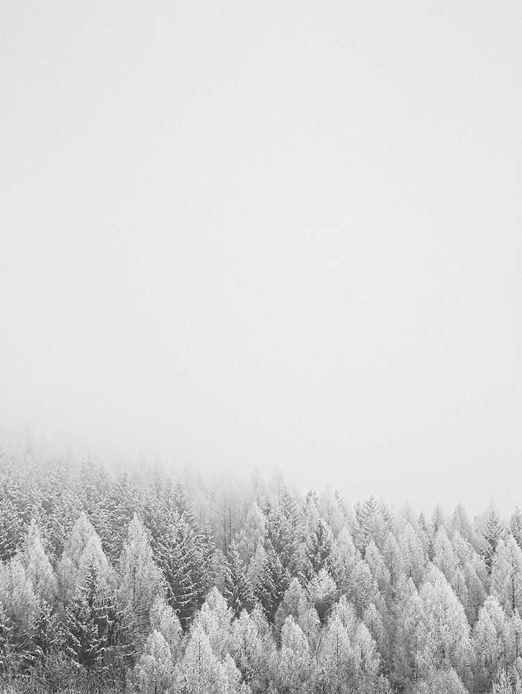 The White Forest art print by Seven Trees Design for $57.95 CAD