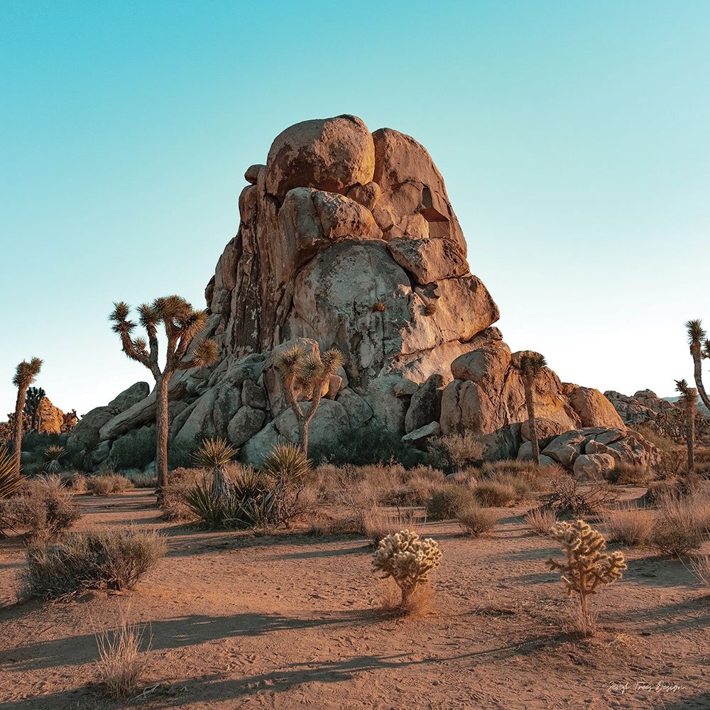 Mountain in the Desert art print by Seven Trees Design for $57.95 CAD