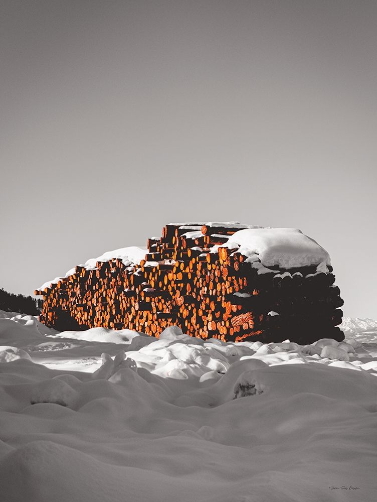 Logs in Snow art print by Seven Trees Design for $57.95 CAD
