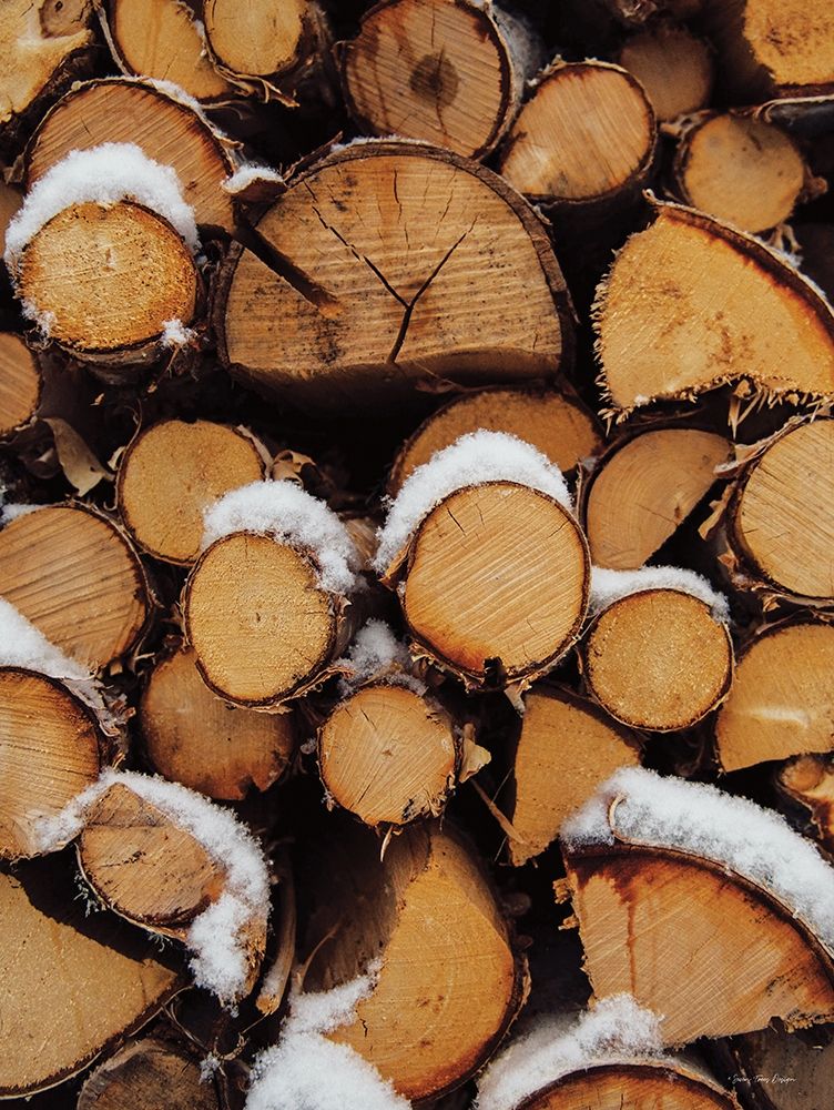 Wood Pile art print by Seven Trees Design for $57.95 CAD