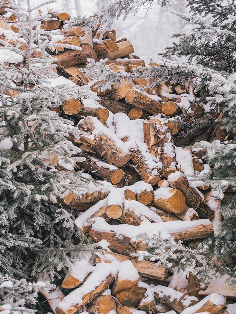 Winter Wood Pile art print by Seven Trees Design for $57.95 CAD